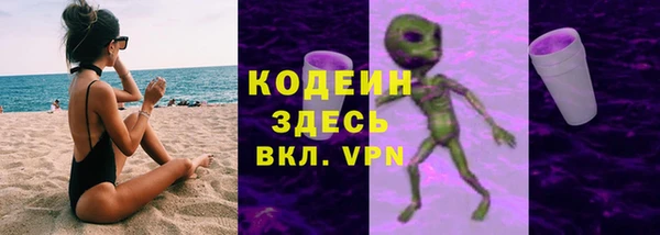 СК Вязьма