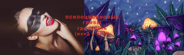 СК Верея