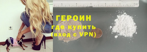 PSILOCYBIN Вяземский