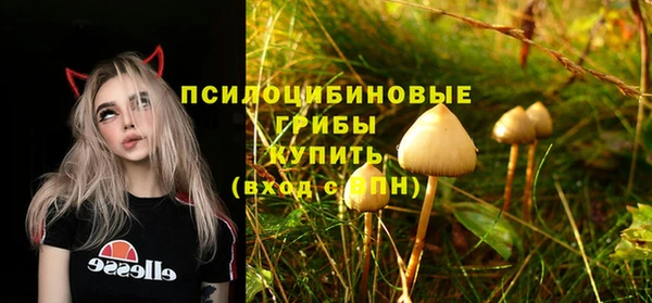 ALPHA-PVP Анжеро-Судженск