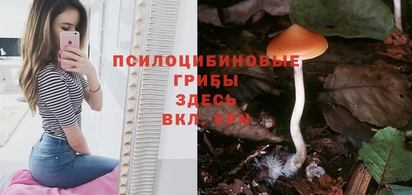 PSILOCYBIN Вяземский