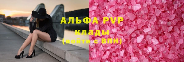 СК Вязьма