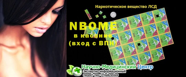PSILOCYBIN Вяземский