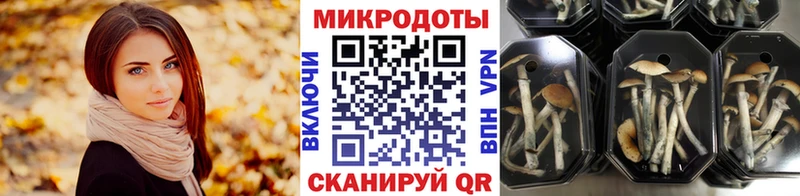 Галлюциногенные грибы ЛСД Заводоуковск