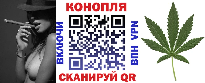 Конопля сатива Заводоуковск